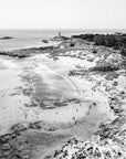BW0009 - Rottnest Island