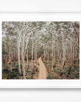 SW2171 - Boranup Forest
