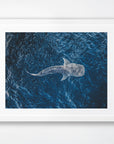 Ningaloo, WA. Aerial photography print by Salty Wings in a white Classic Frame, landscape (SW2288)