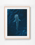 Ningaloo, WA. Aerial photography print by Salty Wings in a Raw Oak Deep Set Frame, portrait (SW2304)