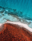 SW2339 - Shark Bay
