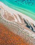 SW2401 - Shark Bay