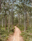 SW2503 - Boranup Forest