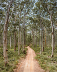 SW2503 - Boranup Forest