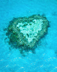 SW0353 - Heart Reef