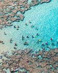 Hawaii Oahu Snorkel Reef Blue
