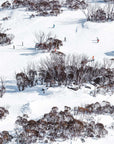 SW2067 - Thredbo