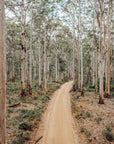 SW2172 - Boranup Forest
