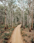 SW2172 - Boranup Forest