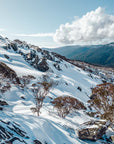 SW2218 - Thredbo