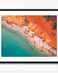 SW0673 - Shark Bay