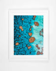 SW0892 - Rowley Shoals