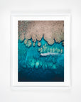 SW0894 - Rowley Shoals