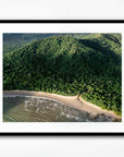 SW1818 - Daintree