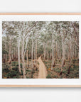 SW2171 - Boranup Forest
