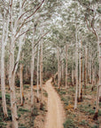 In Stock - SW2171 - Boranup Forest - 80cm x 60cm / Fine Art Paper - Deep Set Frame / Raw Oak / Landscape