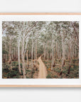 In Stock - SW2171 - Boranup Forest - 80cm x 60cm / Fine Art Paper - Deep Set Frame / Raw Oak / Landscape