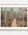 SW2172 - Boranup Forest