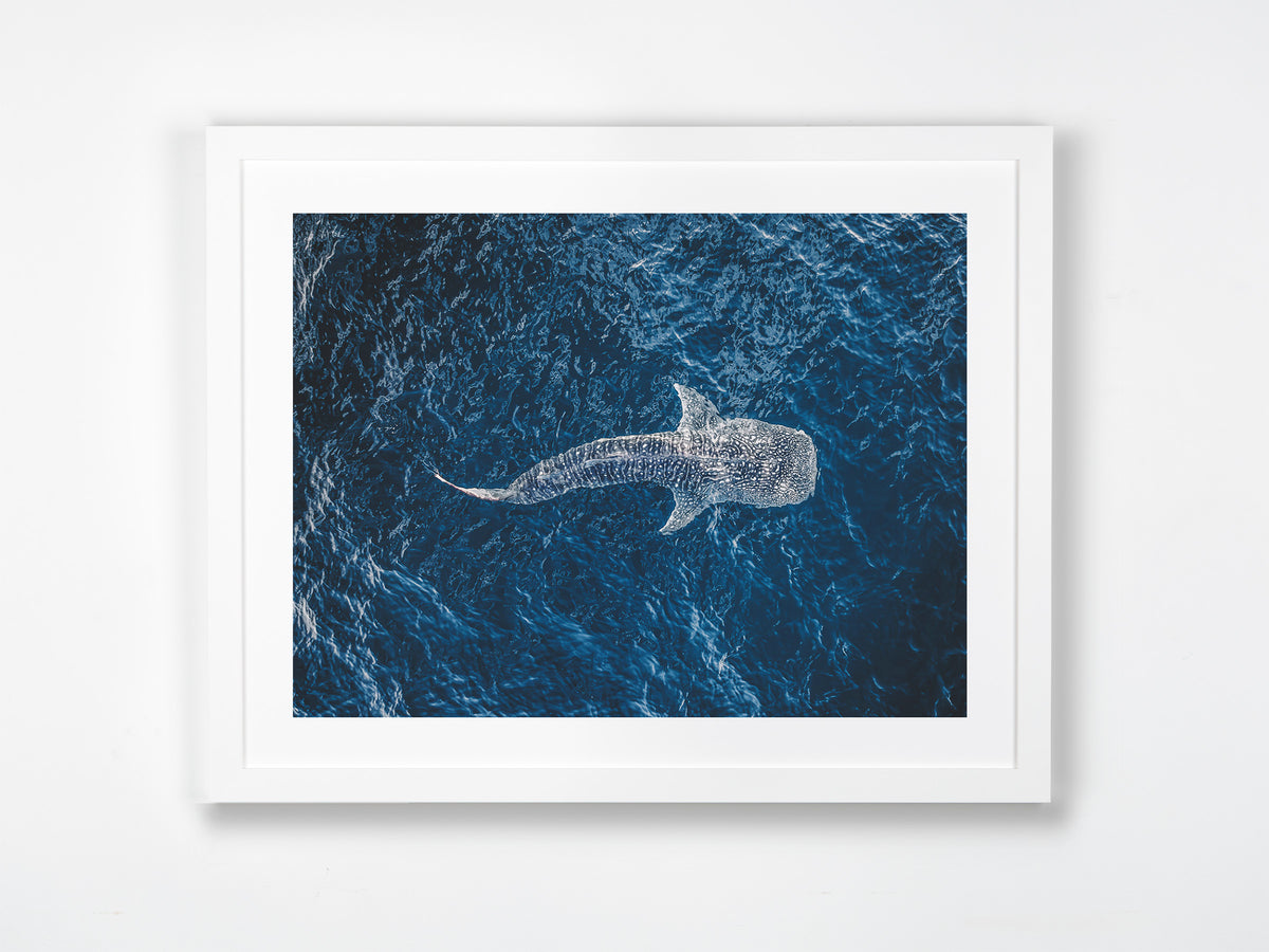 Ningaloo, WA. Aerial photography print by Salty Wings in a white Classic Frame, landscape (SW2288)