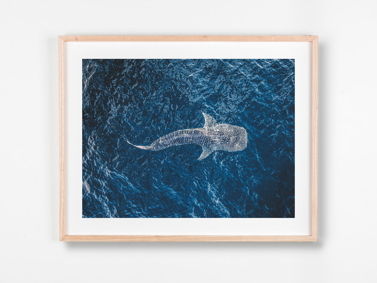 Ningaloo, WA. Aerial photography print by Salty Wings in a Raw Oak Deep Set Frame, landscape (SW2288)