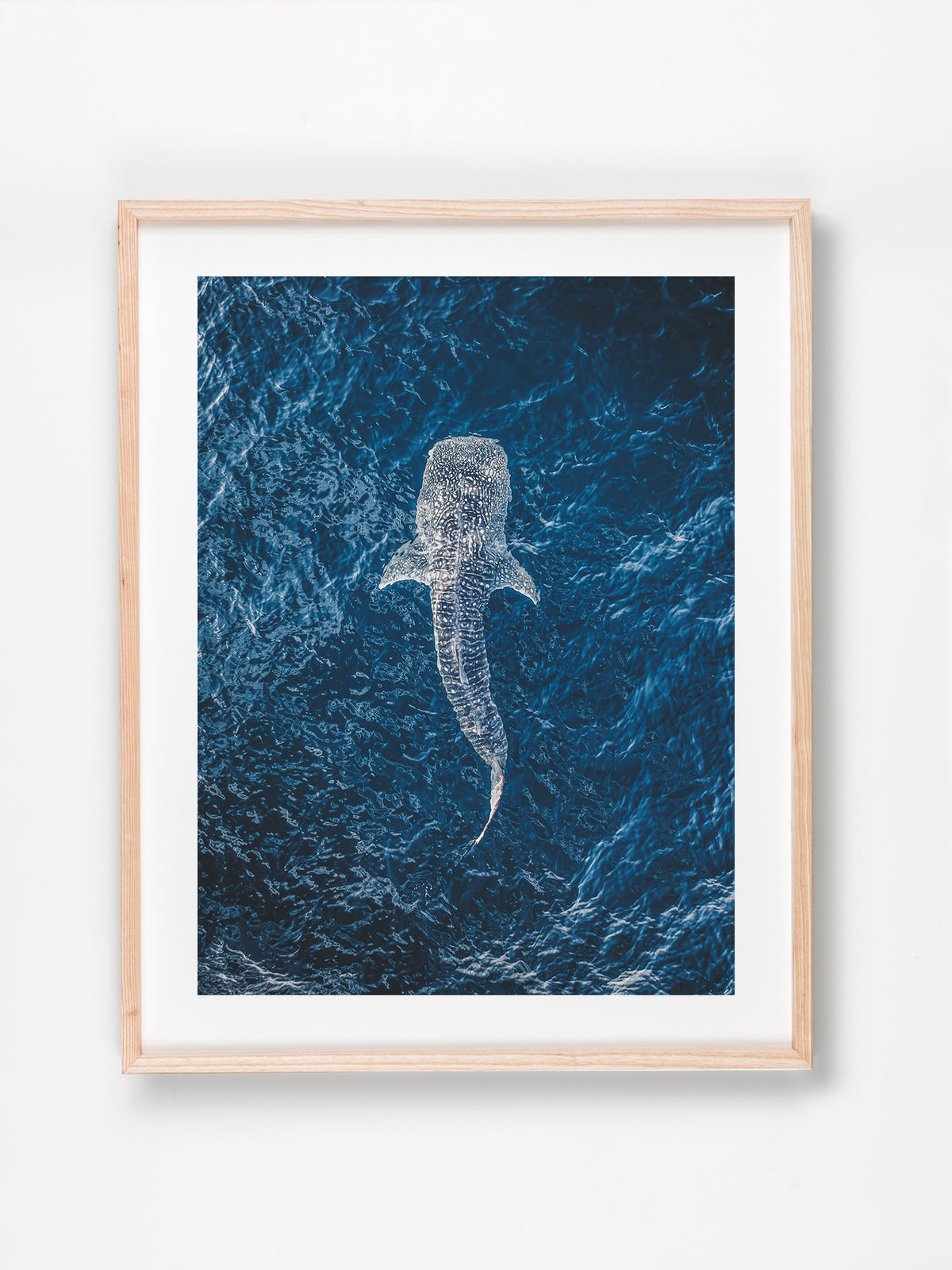 Ningaloo, WA. Aerial photography print by Salty Wings in a Raw Oak Deep Set Frame, portrait (SW2288)