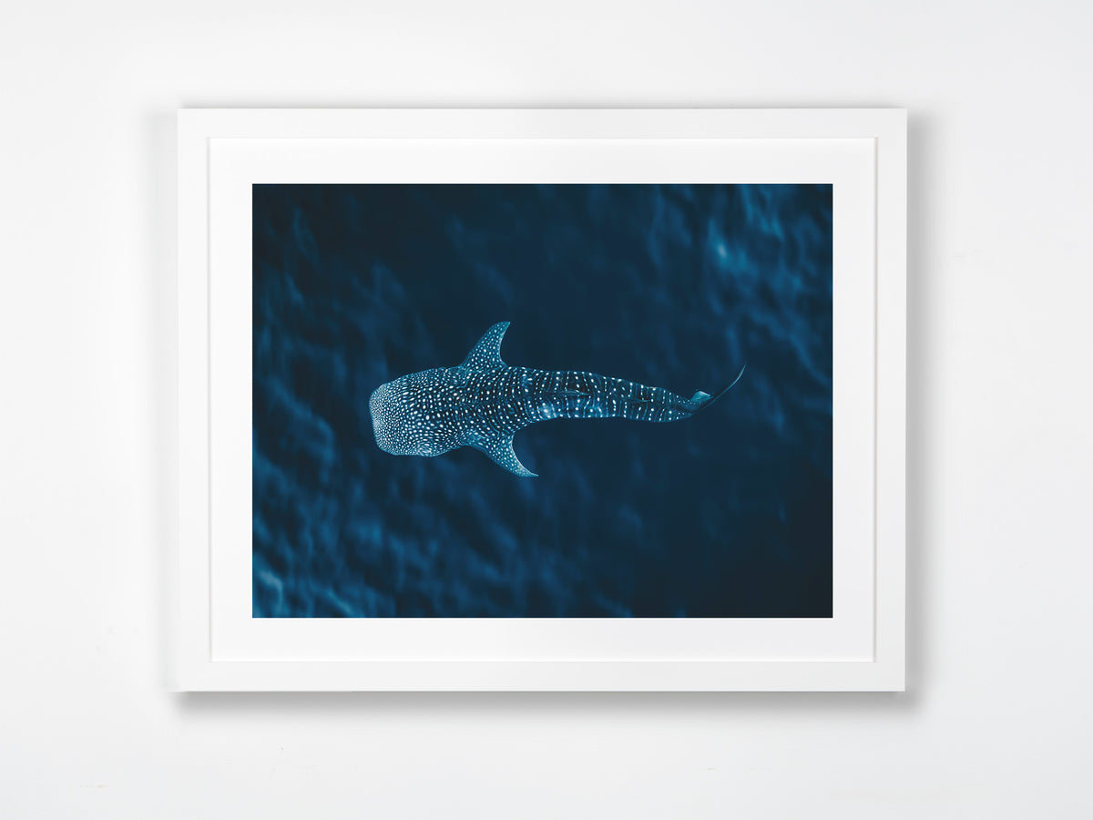 Ningaloo, WA. Aerial photography print by Salty Wings in a white Classic Frame, landscape (SW2304)