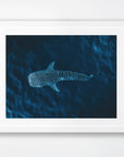 Ningaloo, WA. Aerial photography print by Salty Wings in a white Classic Frame, landscape (SW2304)