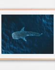 Ningaloo, WA. Aerial photography print by Salty Wings in a Raw Oak Deep Set Frame, landscape (SW2304)