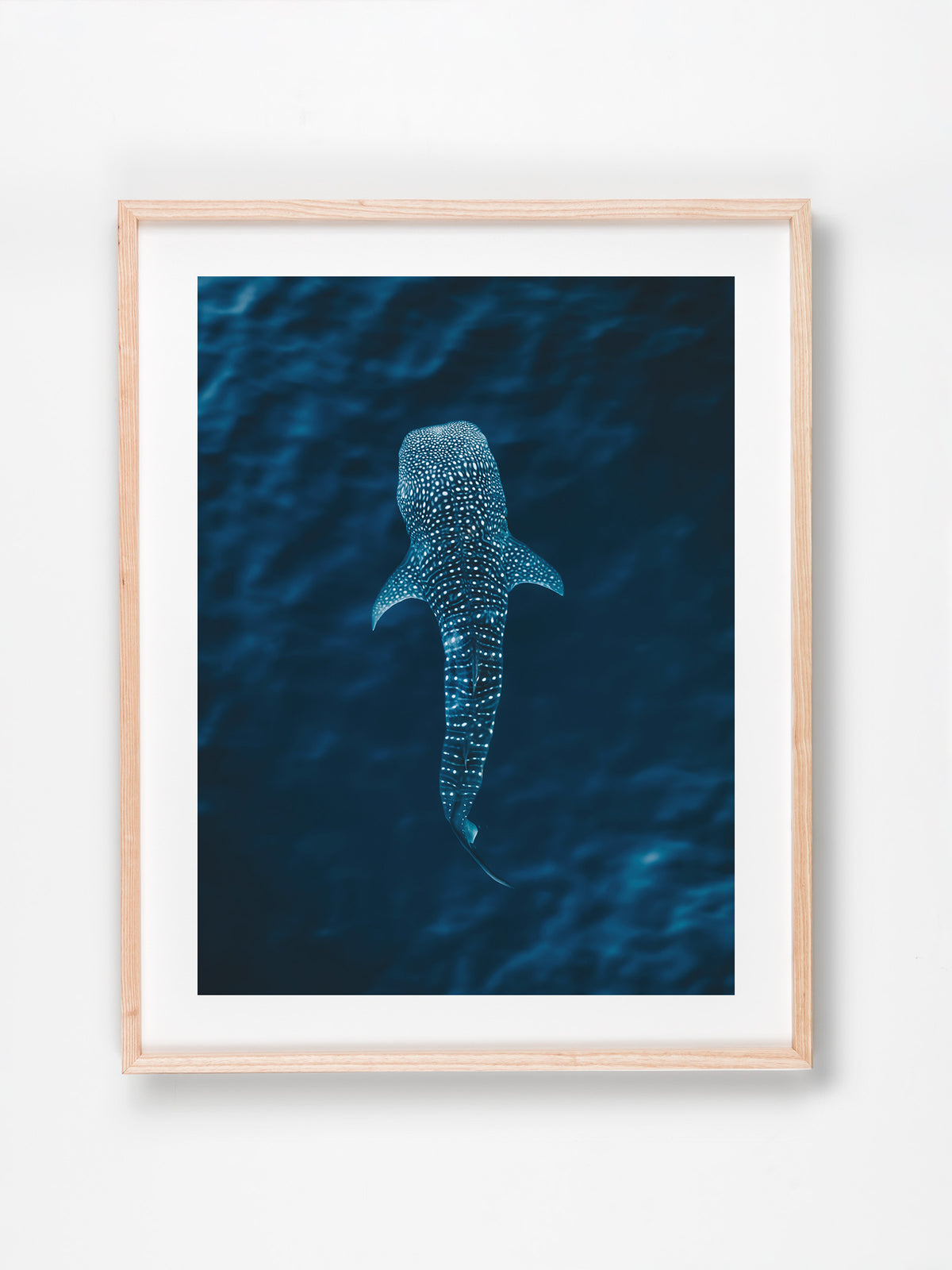 Ningaloo, WA. Aerial photography print by Salty Wings in a Raw Oak Deep Set Frame, portrait (SW2304)