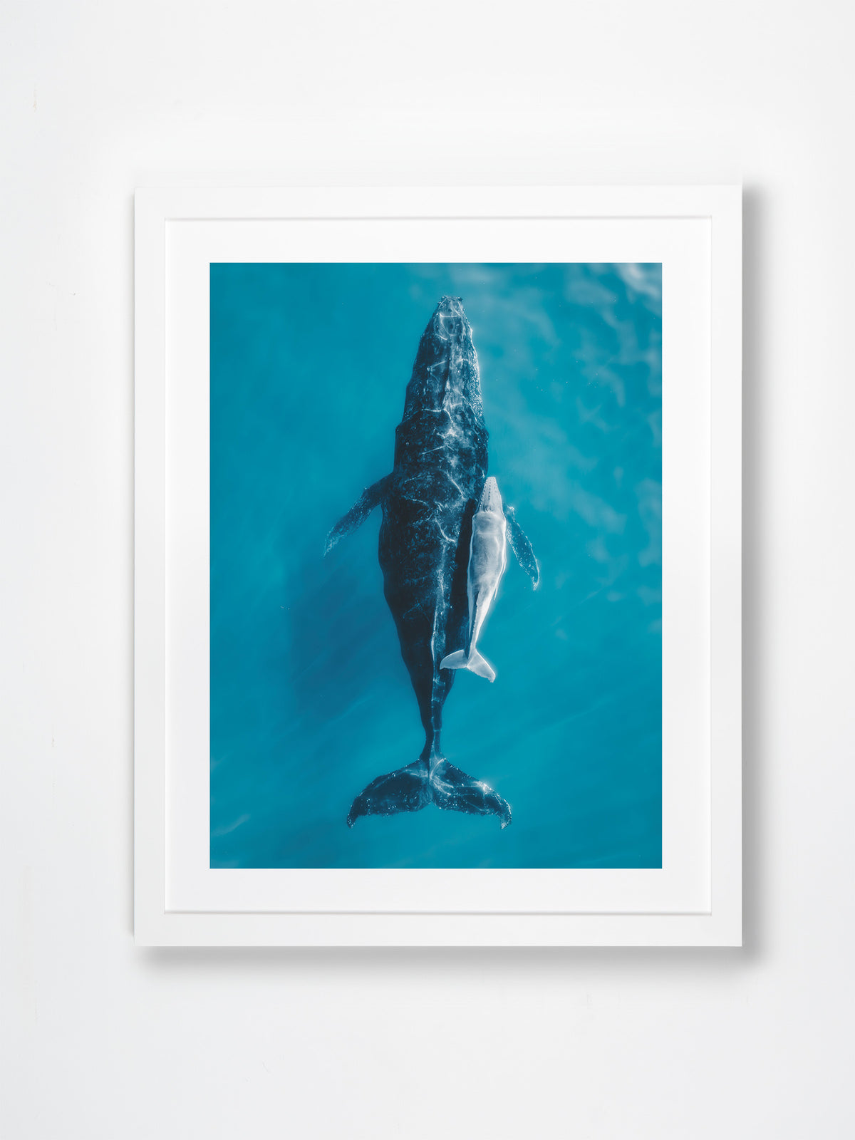 Skennars Head, Lennox Head, Northern Rivers, NSW. Aerial photography print by Salty Wings in a white Classic Frame, portrait (SW2342)