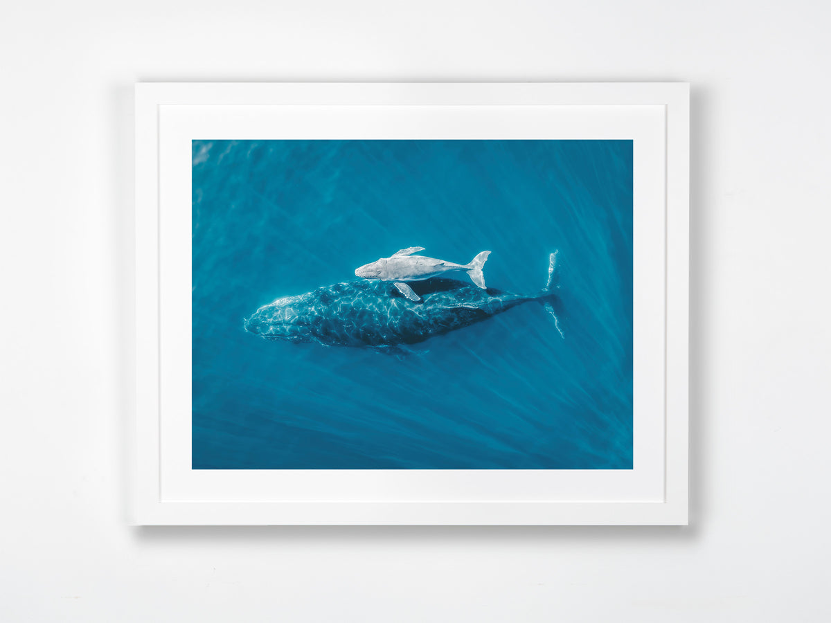 Byron Bay, Northern Rivers, NSW. Aerial photography print by Salty Wings in a white Classic Frame, landscape (SW2354)