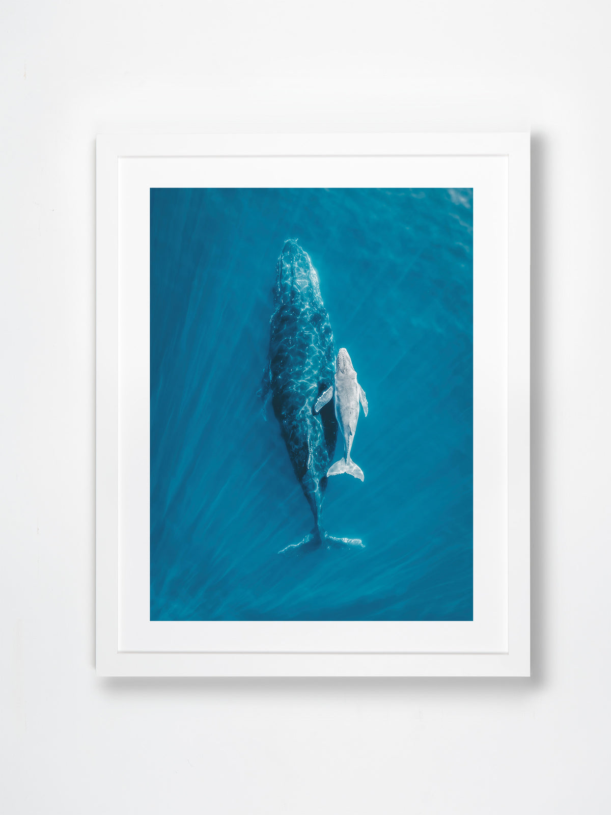 Byron Bay, Northern Rivers, NSW. Aerial photography print by Salty Wings in a white Classic Frame, portrait (SW2354)