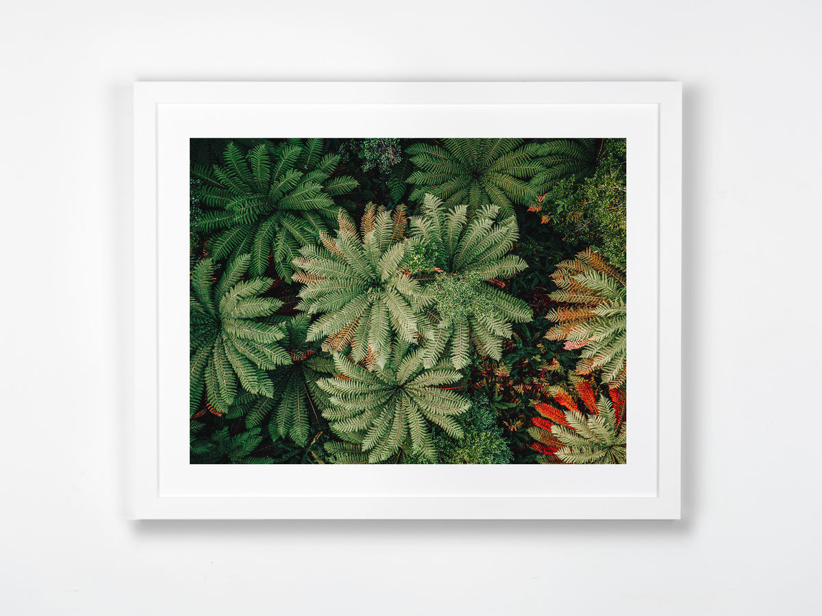 Southern Highlands, TAS. Aerial photography print by Salty Wings in a white Classic Frame, landscape (SW2390)