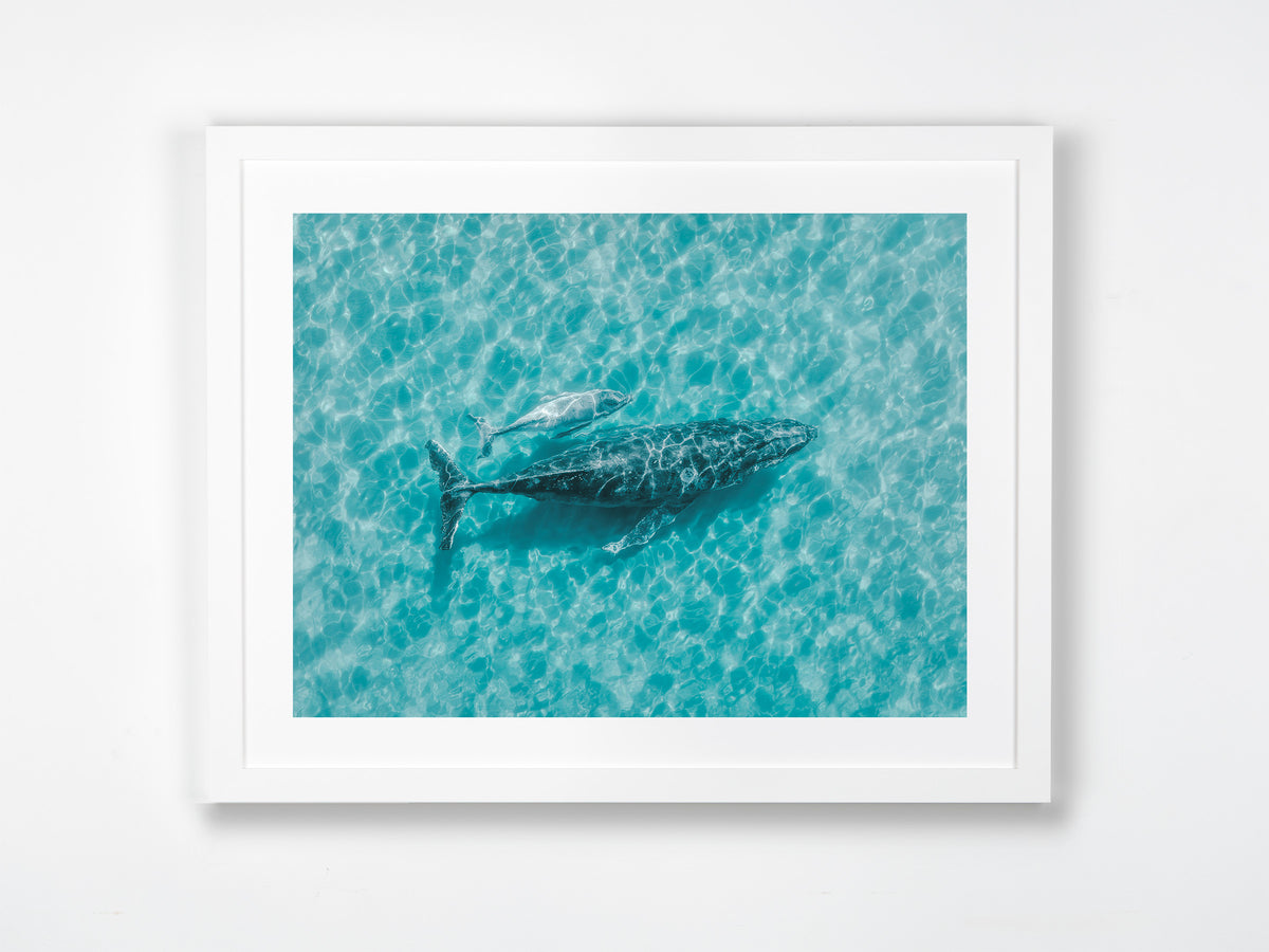 Meelup, Dunsborough, Margaret River Region, WA. Aerial photography print by Salty Wings in a white Classic Frame, landscape (SW2399)