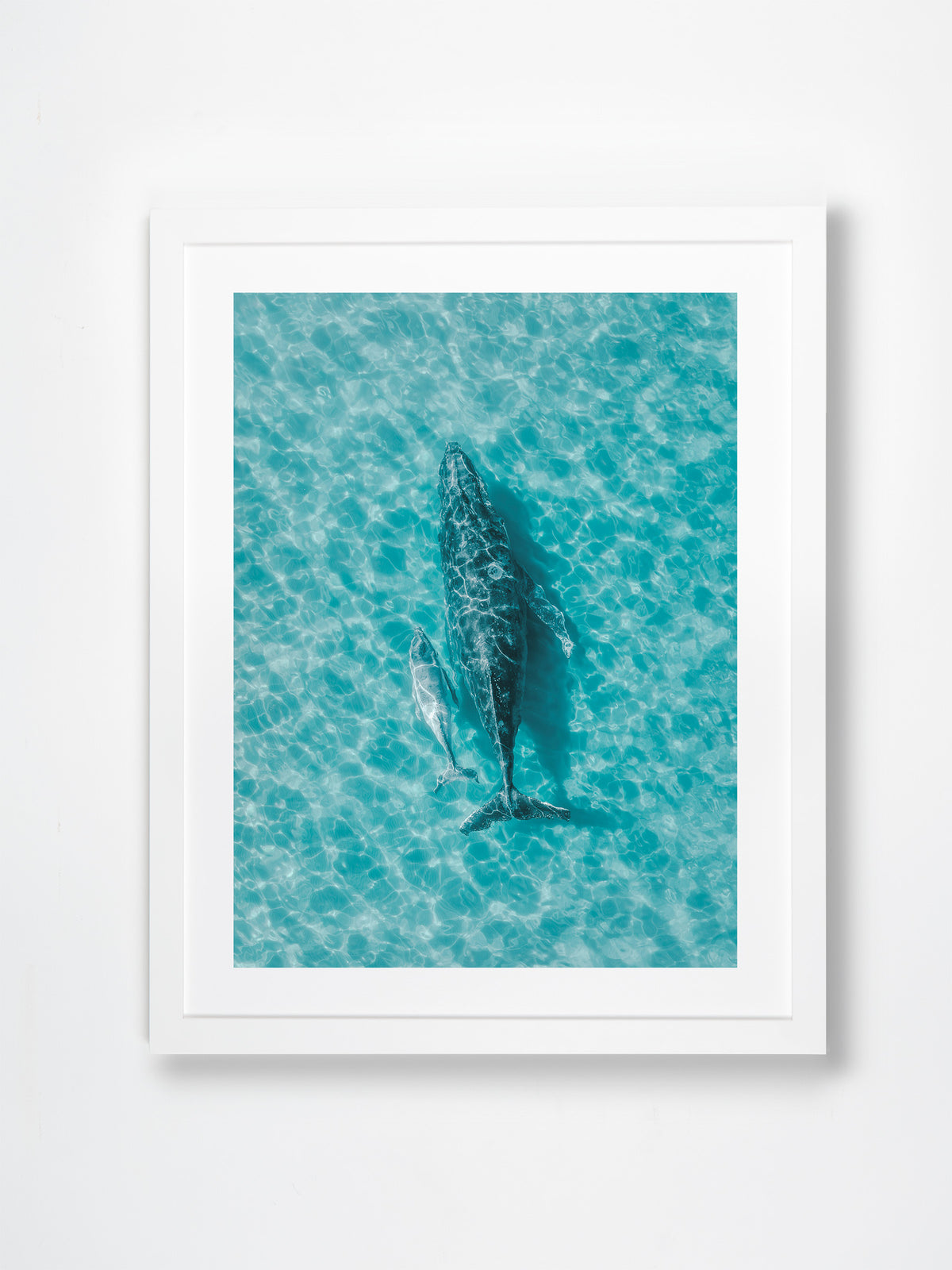 Meelup, Dunsborough, Margaret River Region, WA. Aerial photography print by Salty Wings in a white Classic Frame, portrait (SW2399)