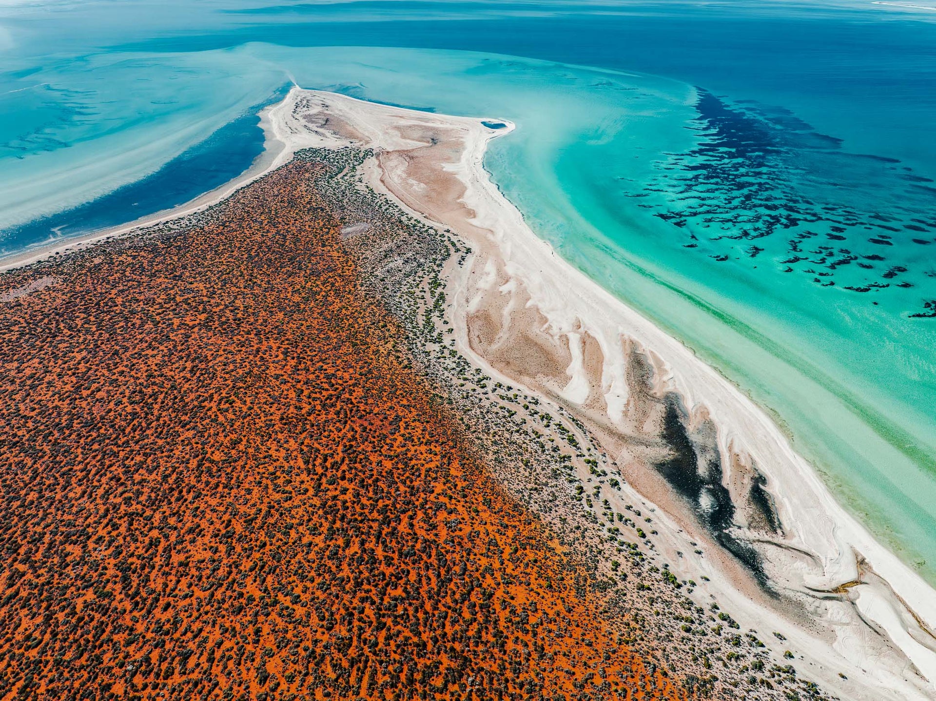 SW2400 - Shark Bay Wall Art | Shop Coastal Photography Prints – Salty Wings