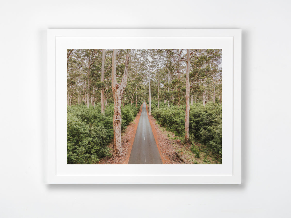 Beedelup, Pemberton, South West, WA. Aerial photography print by Salty Wings in a white Classic Frame, landscape (SW2443)