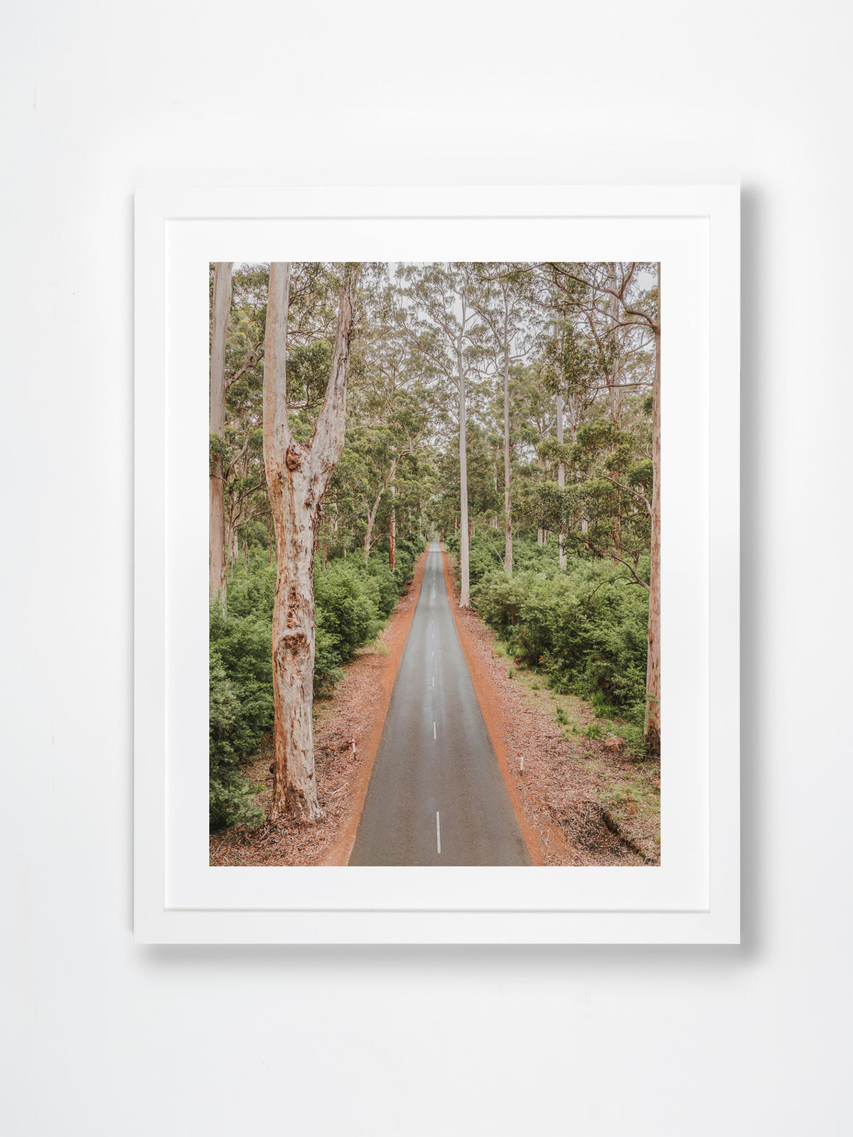 Beedelup, Pemberton, South West, WA. Aerial photography print by Salty Wings in a white Classic Frame, portrait (SW2443)