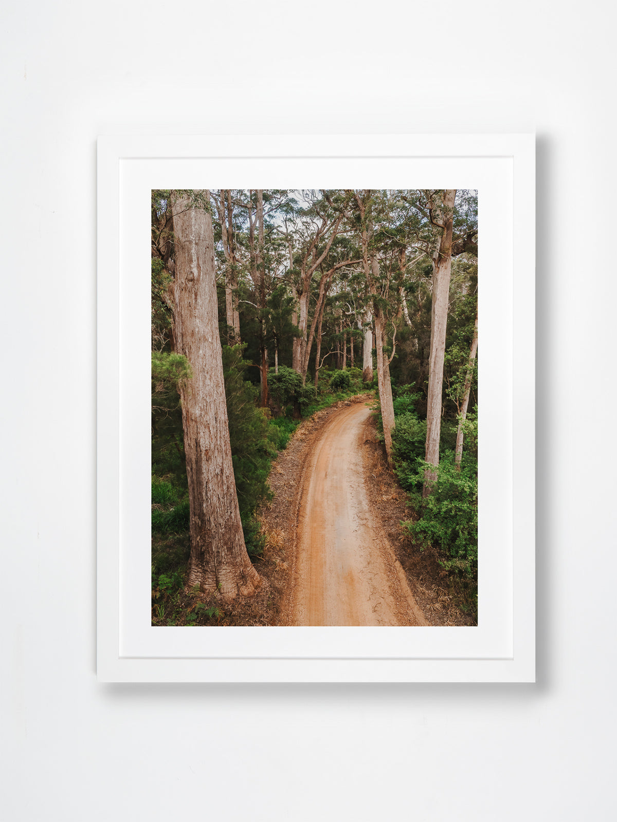 Walpole, South Coast, WA. Aerial photography print by Salty Wings in a white Classic Frame, portrait (SW2464)