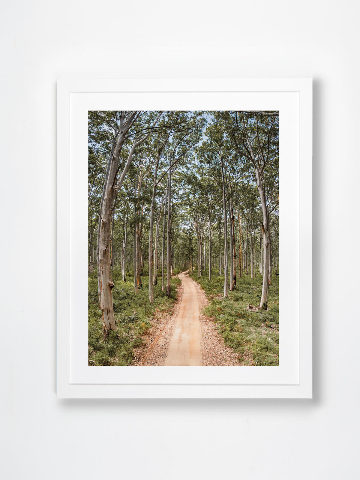 Boranup Forest, Margaret River Region, WA. Aerial photography print by Salty Wings in a white Classic Frame, portrait (SW2503)