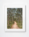 Boranup Forest, Margaret River Region, WA. Aerial photography print by Salty Wings in a white Classic Frame, portrait (SW2503)