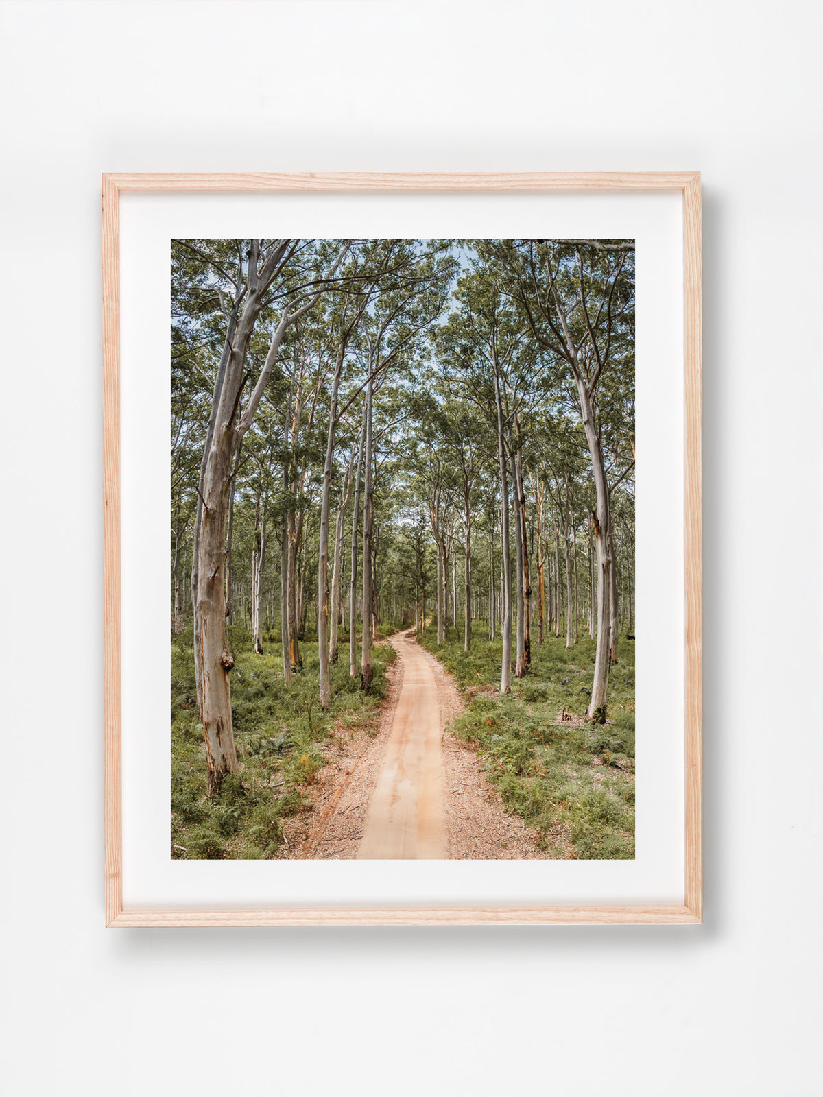 Boranup Forest, Margaret River Region, WA. Aerial photography print by Salty Wings in a Raw Oak Deep Set Frame, portrait (SW2503)
