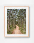 Boranup Forest, Margaret River Region, WA. Aerial photography print by Salty Wings in a Raw Oak Deep Set Frame, portrait (SW2503)