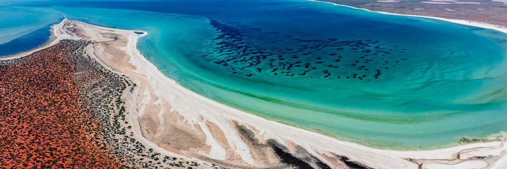 pan0032 - Shark Bay