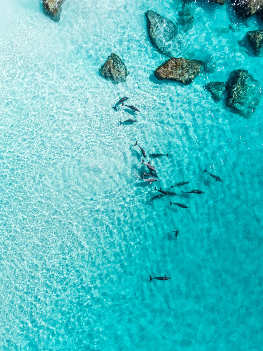 Dingoes Beach Albany Shop Australian Coastal Photography Prints