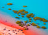 Broome, The Kimberley, WA. Aerial photography print by Salty Wings, landscape (SW0684)
