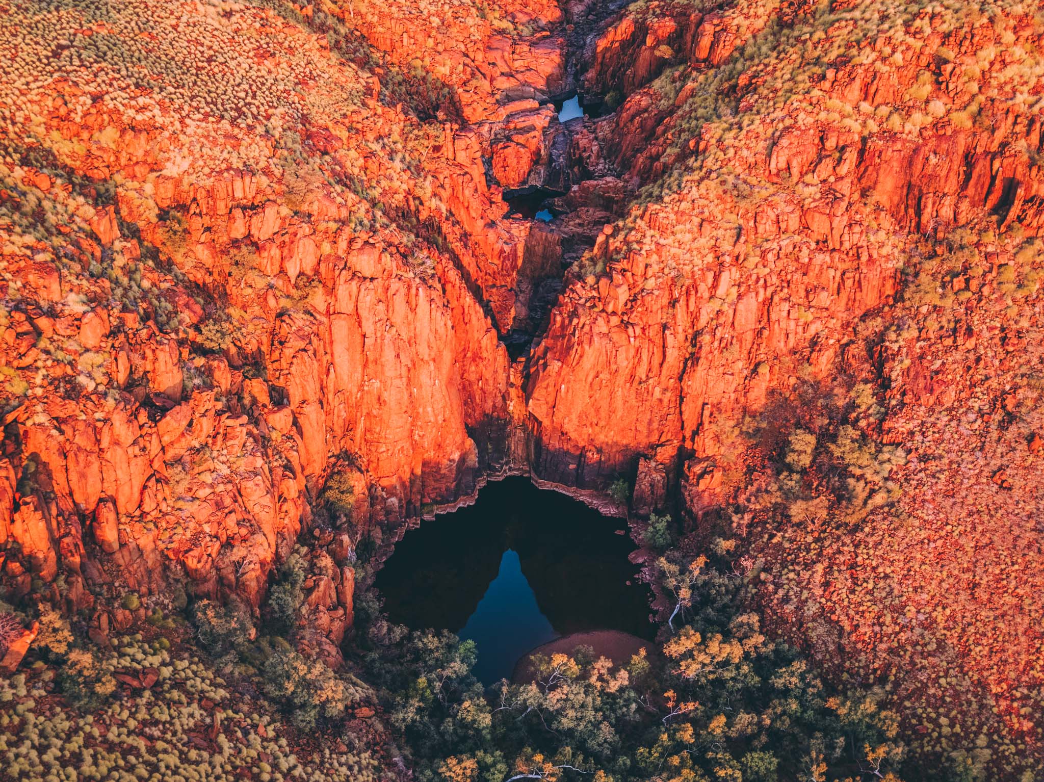 SW0773 - Python Pool Wall Art Decor | Shop Art Photo Prints – Salty Wings