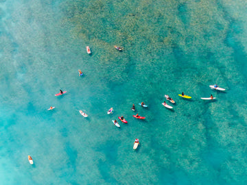 Waikiki Surf Reef Longboard
