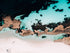 Rottnest Island, WA. Aerial photography print by Salty Wings, landscape (SW0966)