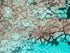 Rottnest, Rottnest Island, WA. Aerial photography print by Salty Wings, landscape (SW1454)